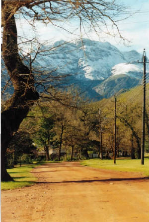 greytoninwinter.jpg