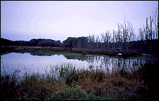 walkingtrails.gif